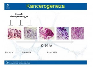 kancerogeneza_czynniki_chemoprewencyjne